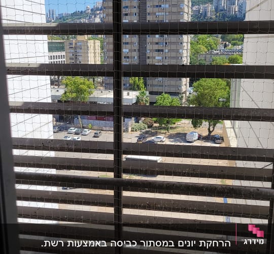 רשת למניעת כניסת יונים על חלון עם לכלוך יונים